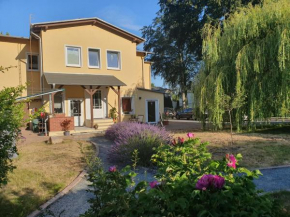 Ferienwohnung Ole, Zinnowitz